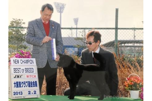小泉昌弘ブリーダーの詳細の1枚目